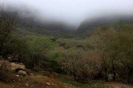 hawar-islands.com Humran