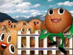 Humty