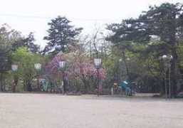 .ocn.ne.jp Hunak