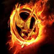 fotolog.com Hungergames