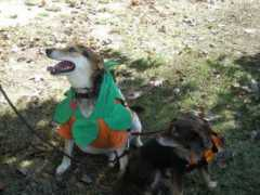 prca.cobbcountyga.gov Hunkler