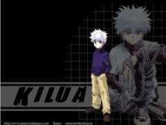 Hunterxhunter