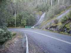 Huon