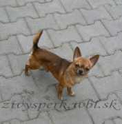 zivysperk.wbl.sk Hurican
