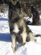 Hurja
