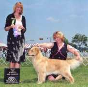 dichigoldens.com Hurlebaus