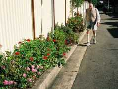 walksydneystreets.net Hurlstone