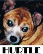 johnbisset.com Hurtle