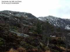 westcoastpeaks.com Husdal