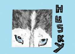 ratemydrawings.com Husly