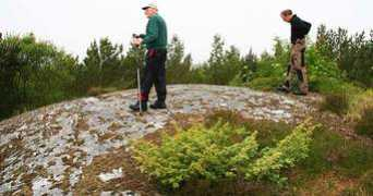Hustad