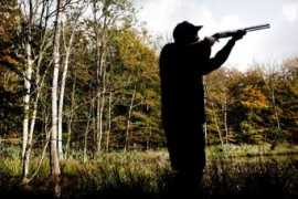 viborg-folkeblad.dk Hylden