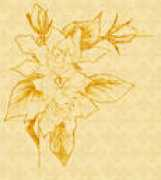 miody.lubaczowski.com Hypiak