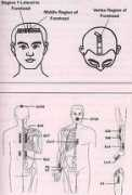 chinajnbook.com Hysteria