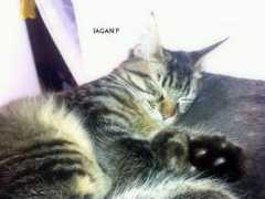 Iagan