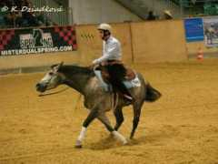 equichannel.cz Ianetta