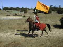 history.westkingdom.org Ianthe
