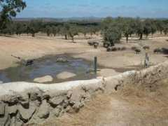 panoramio.com Ibericos