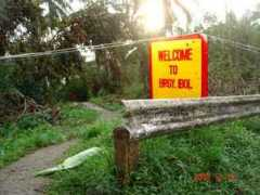 Ibol
