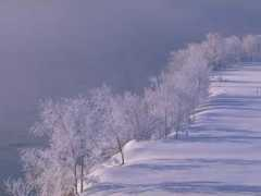 jomon.ne.jp Icerain