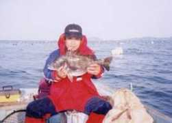 coara.or.jp Ichimiya