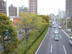 Ichinoe