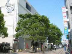 Ichinoe