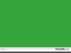 colourlovers.com Idalee