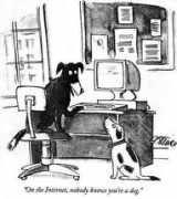 Idog