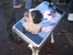 Idog