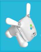 Idog