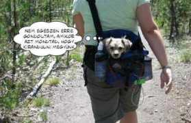 Idore
