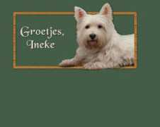 Ietie