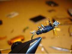 fishingfury.com Ifly