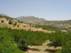 Igdir