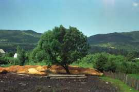 Igio