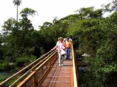 letow.com Iguassu
