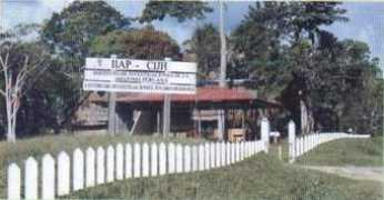 Iiap
