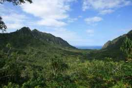 kualoa.com Ikena