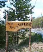 Ikimo