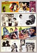 musicman.com Ikrah