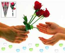 longlivesomaliland.com Ileys