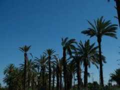 fotos.euroresidentes.com Ilicitana