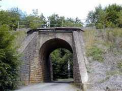 Iliovici