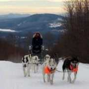 fortilliokennels.com Illio
