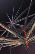 Illium