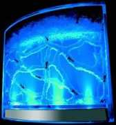ants.breezily.co.uk Illuminator
