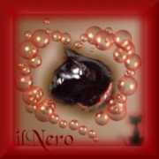 in4gatti.com Ilnero