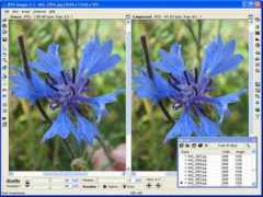 actualdownload.com Imager