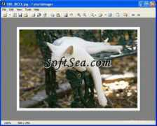 softsea.com Imager